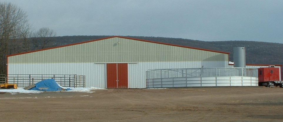 Mountain Springs Arena